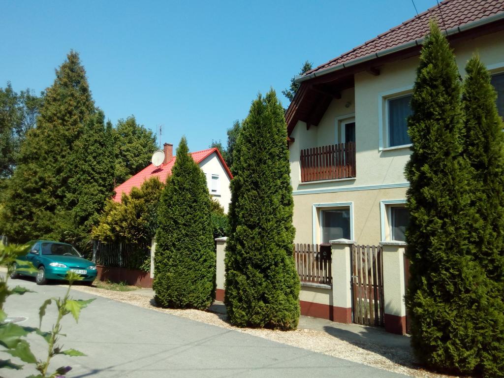 Eva Vendeghaz Guesthouse Hajdúszoboszló Buitenkant foto